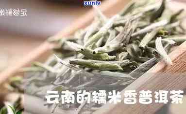 云南普洱茶糯米香形