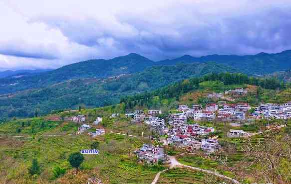 云南临沧凤庆县石村：中国滇红之一村的旅游魅力与乡村振兴之路