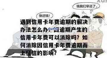 信用卡年费逾期20年了怎么办，如何办理？