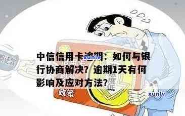 中信信用卡逾期问题全面解答：原因、影响、解决方案及如何避免逾期