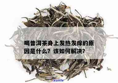 喝熟普洱茶浑身发痒怎么办？