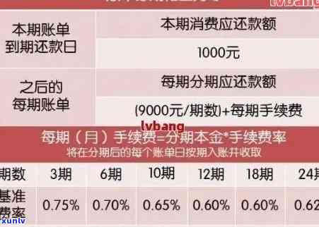 还信用卡几号还最合适？如何查询信用卡还款日？