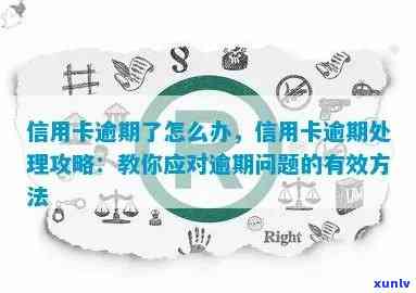 逾期信用卡的全方位处理策略：实用技巧与具体操作步骤