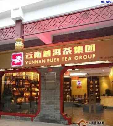 州茶叶专业连锁店：一站式购齐普洱茶与周边特色佳品