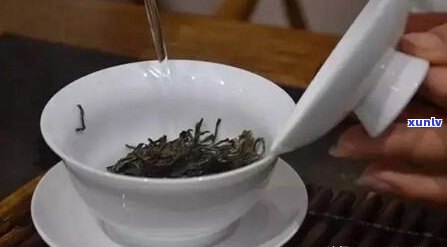 探究普洱茶的口感与投茶量之间的关系：一份详细指南