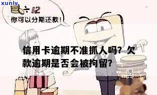 信用卡逾期怎么不抓人