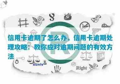 信用卡逾期问题全面解决指南：如何快速处理最有效避免影响信用？