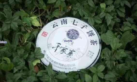 下关精选普洱茶标杆产品推荐：醇厚口感，品质越