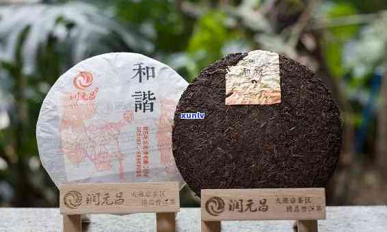 知福普洱茶饼350克价格：了解400g与350克的价格差异