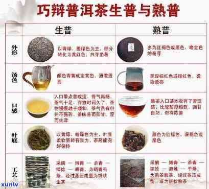 云南普洱茶：品种特点、 *** 工艺、品鉴 *** 及健益处全解析