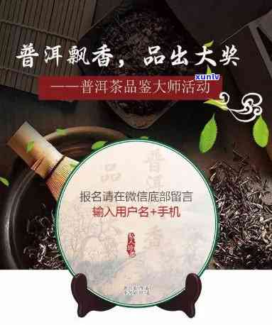 君享普洱茶：品味越，感受非凡价值