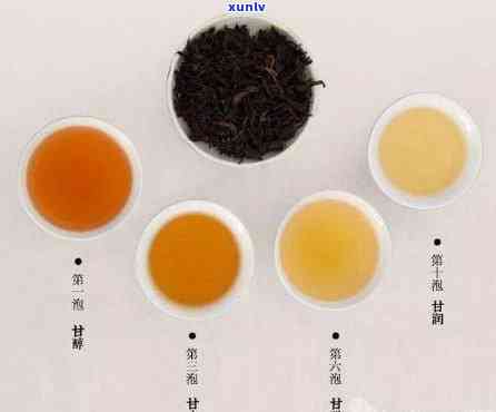 从选茶到泡茶：全方位指南，古树滇红茶叶的品鉴与技巧