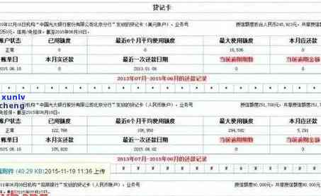 信用卡逾期核查资料：详细指南与查询 *** 