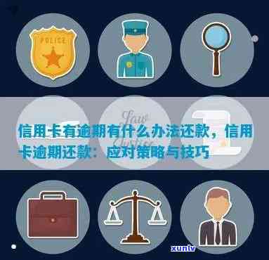 信用卡逾期还款全攻略：最省钱的 *** 和注意事项，解决所有相关问题