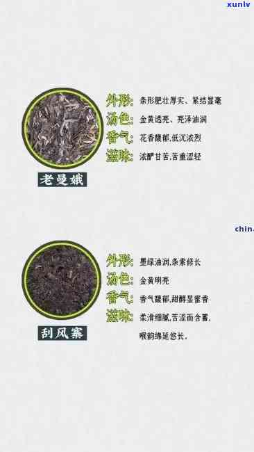 冰岛普洱茶：品鉴与选购指南，了解产地、种类与口感等全方位信息