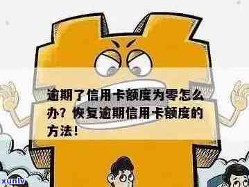 信用卡逾期后如何恢复信用额度？全面解决方案与建议