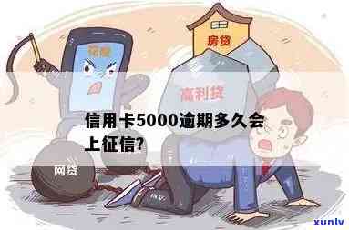 招商银行信用卡5000逾期一年还款后果严重吗？