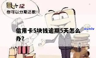 信用卡5块钱逾期两天：后果如何？怎么办？