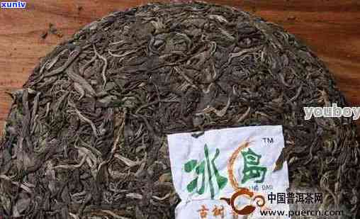 普洱茶冰岛的产地及生产特点：探索这款独特茶叶的来源与品质