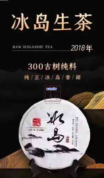 冰岛原产普洱茶：远达号阿里茶王的独特魅力