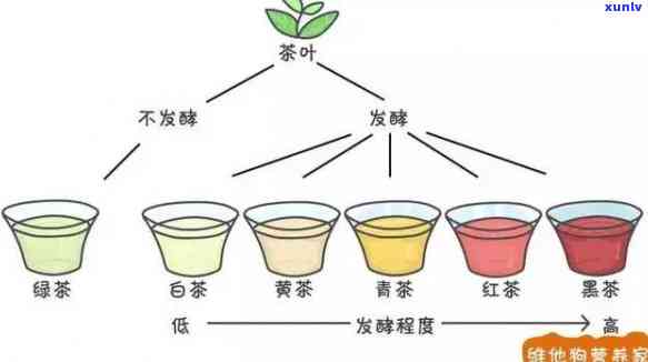 探索普洱茶一个月的全方位饮用指南