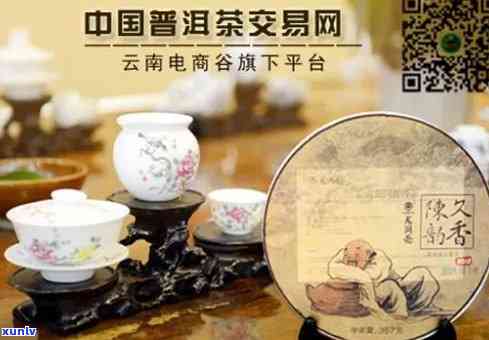 企业参与普洱茶交易的意义：探索价值与目的