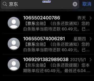 京东白天逾期对信用卡