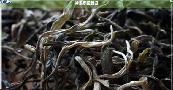 冰岛古树普洱茶：口感与特点的完美融合