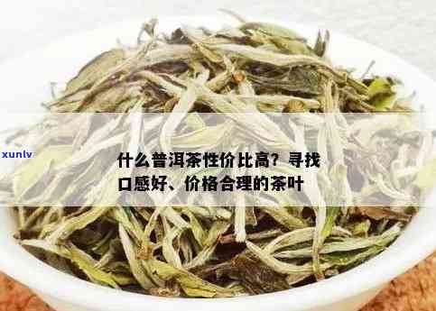 普洱茶价格差异大，如何挑选性价比高的茶叶？