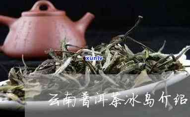 云南普洱冰岛茶好处