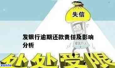 信用卡逾期还款：支行与总行的责任和处理方式有何差异？