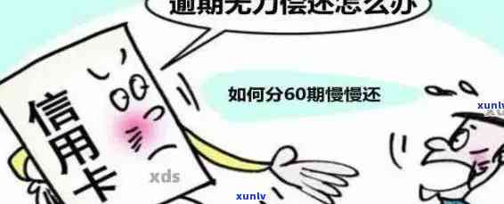 信信用卡逾期无力还款