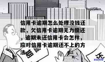 信信用卡逾期无力还款