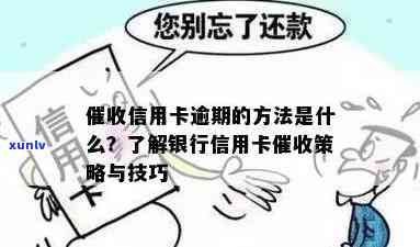 应对信用卡逾期问题：银行策略与解决 *** 全解析