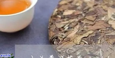 大益普洱茶的等级划分与详解：哪个级别最适合你？