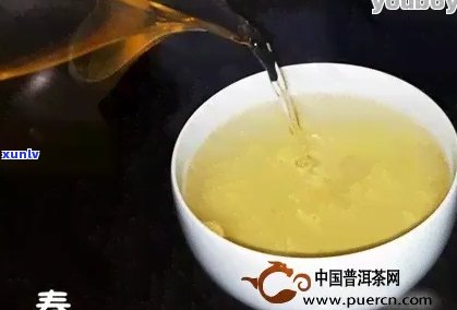 探索冰岛普洱茶：生茶与熟茶的比例对口感的影响及选择指南