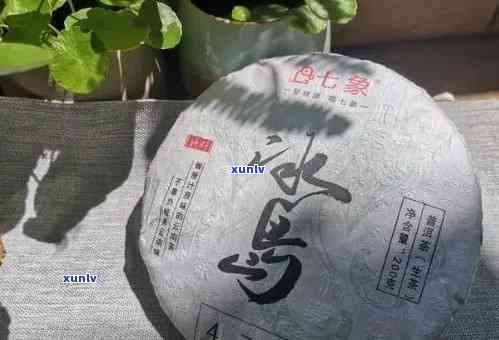 冰岛200g小饼普洱茶：品种、产地、特点与品饮 *** 全方位解析