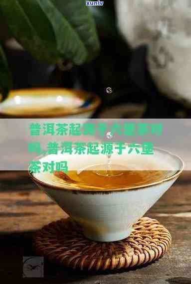 六堡茶还普洱茶谁早