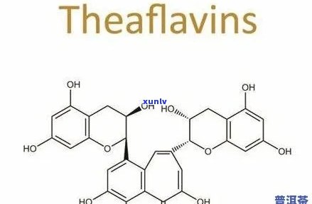 普洱茶儿茶素的功效、作用与含量，以及其叶黄素和转化过程。