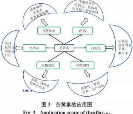 普洱茶儿茶素的功效、作用与含量，以及其叶黄素和转化过程。