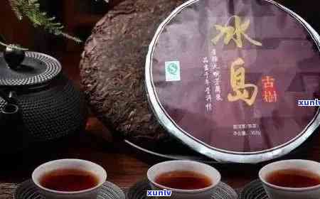 冰岛普洱茶：生茶与熟茶的口感对比与选择