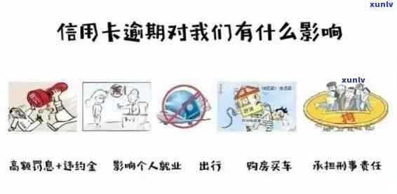 全面解析：如何找到信用卡逾期的人，以及相关处理策略和预防措