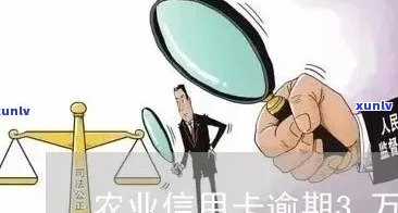 逾期还款困扰：如何应对3万农业信用卡债务处理难题