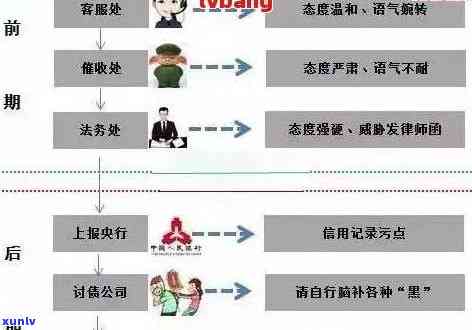 逾期五大分类：理解和处理逾期的关键步骤