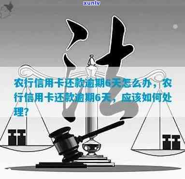 农行信用卡逾期还款后如何处理？逾期销户的相关问题解答