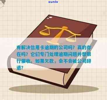 信用卡逾期打到现有公司怎么处理：寻求专业帮助解决信用卡债务难题