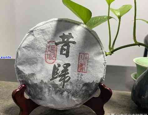 云南顶级普洱茶品鉴：十大名牌茶叶排名榜，你不可错过的好茶推荐