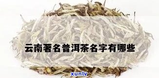 云南有哪些名普洱茶