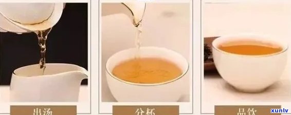 一回生二回熟普洱茶价格与泡法：如何品味这款独特的茶叶