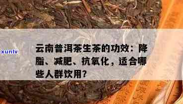 普洱茶的主要功能：降脂减肥、助消化、抗氧化。